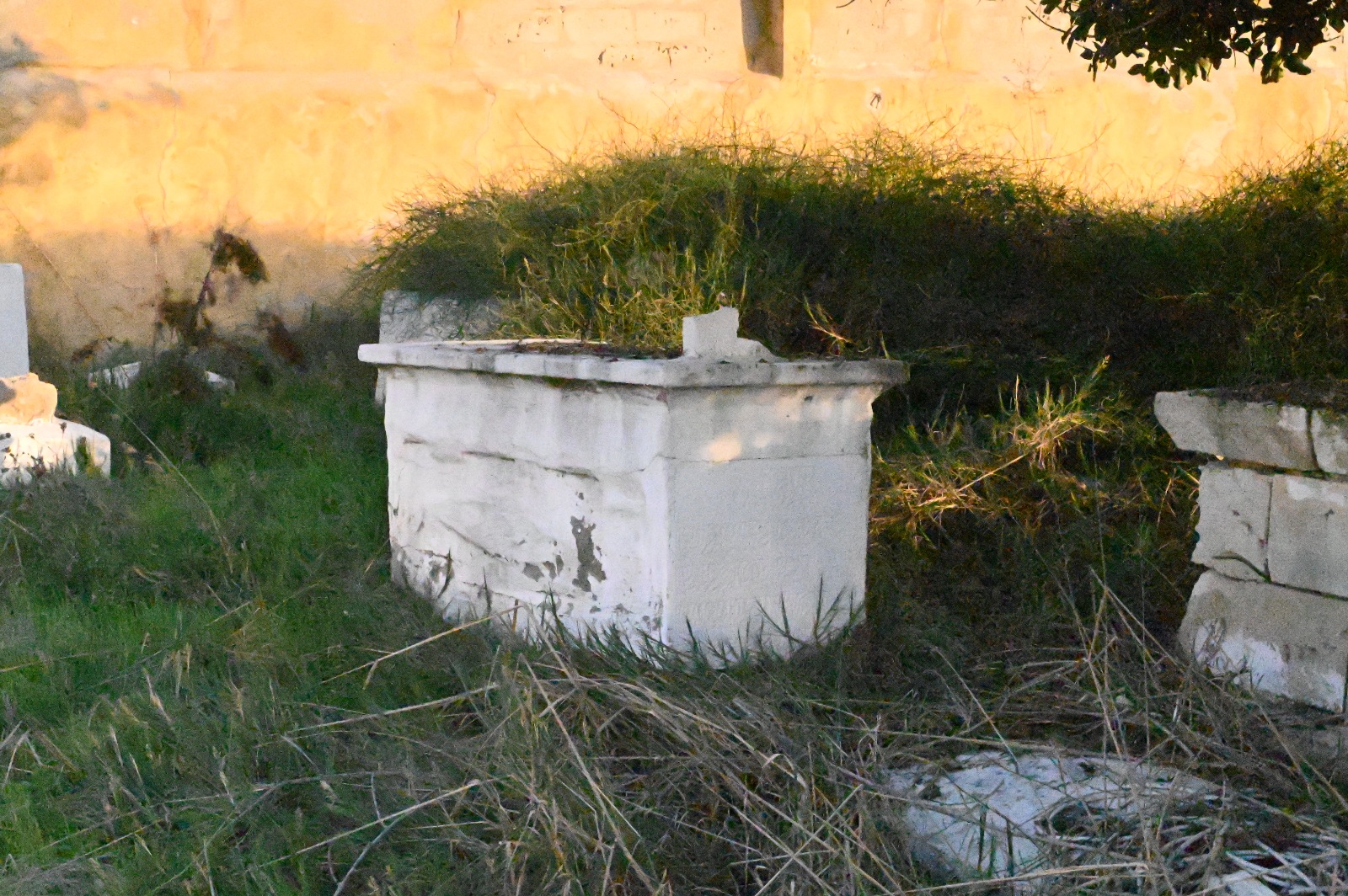 WhatsApp Image 2022-11-24 at 11.41.44 AM.jpeg